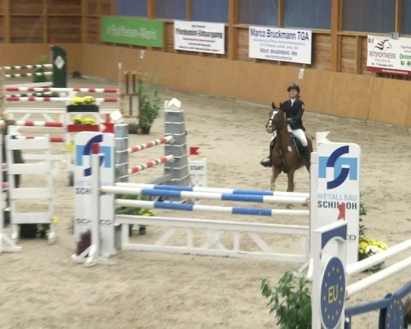 Reitturnier Xanten - Reitanlage Miss 2019