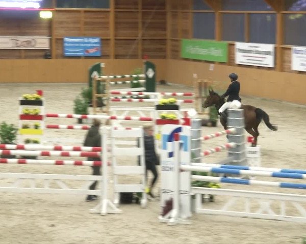 Reitturnier Xanten - Reitanlage Miss 2019