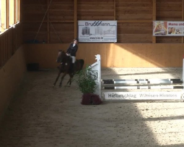 Reitturnier Xanten - Reitanlage Miss 2019