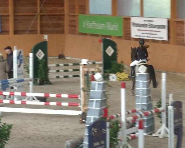 Reitturnier Xanten - Reitanlage Miss 2019