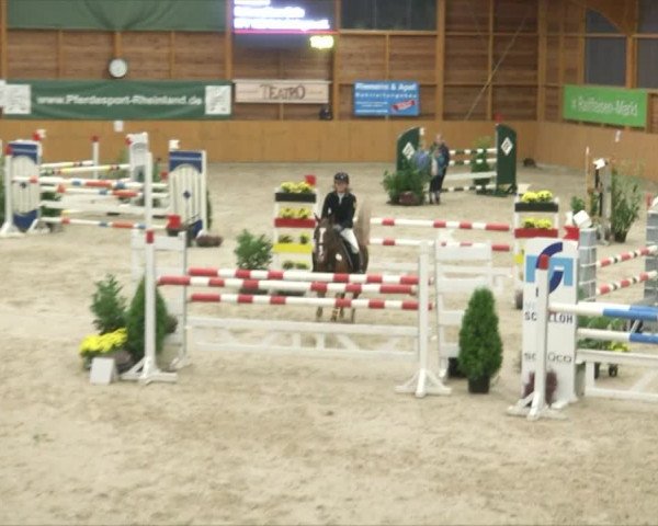 Reitturnier Xanten - Reitanlage Miss 2019