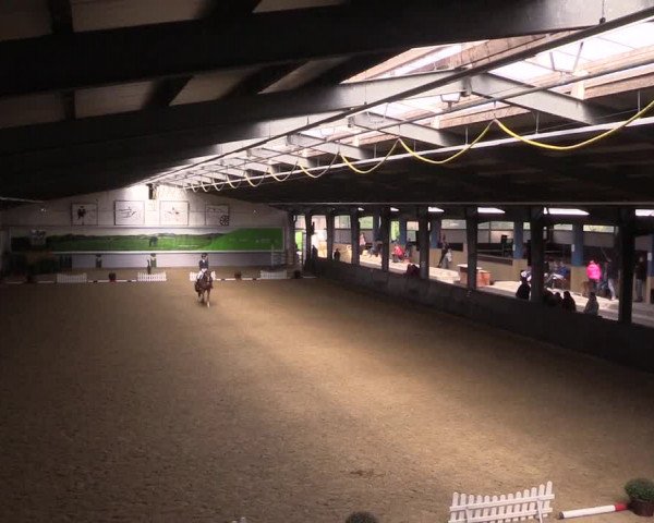 Reitturnier Legden 2019