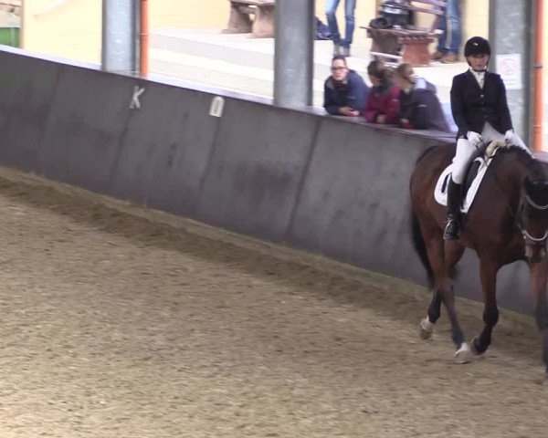 Reitturnier Legden 2019