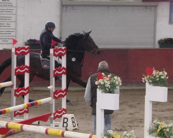 Reitturnier Neunkirchen-Furpach 2019
