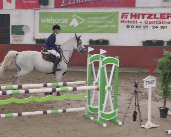 Reitturnier Neunkirchen-Furpach 2019