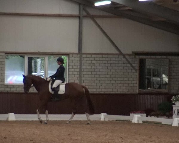 Reitturnier Kirchhellen-RSV Zur Linde 2019