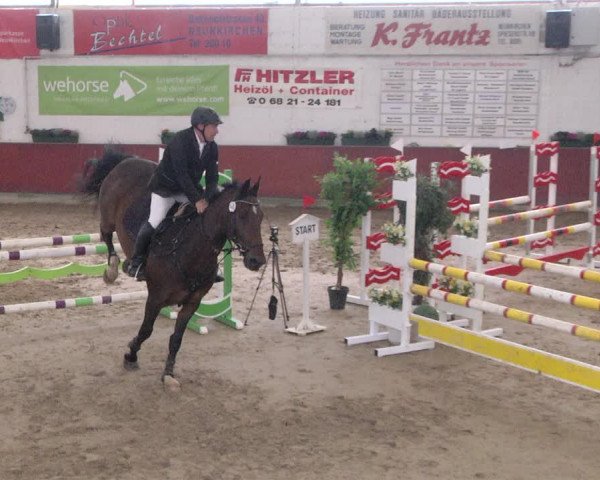 Reitturnier Neunkirchen-Furpach 2019