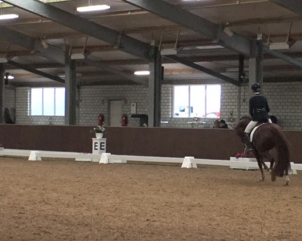 Reitturnier Kirchhellen-RSV Zur Linde 2019