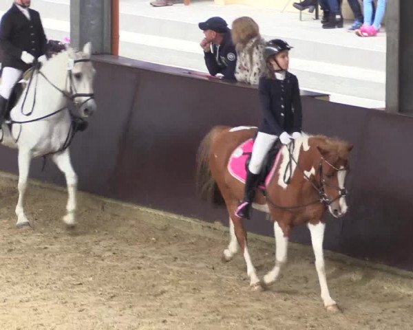 Reitturnier Legden 2019