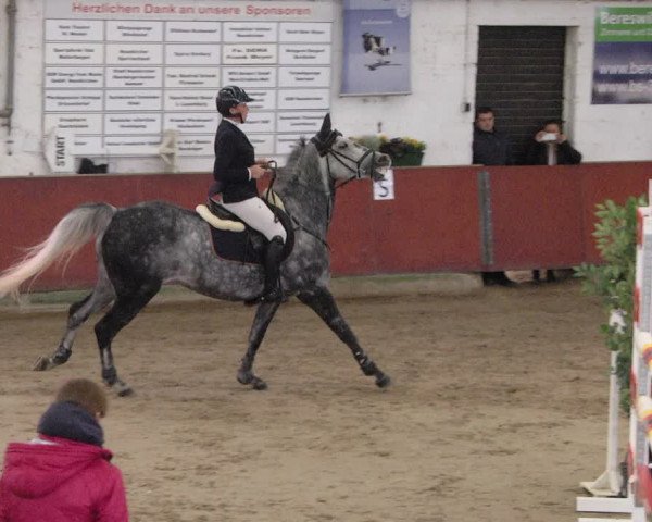 Reitturnier Neunkirchen-Furpach 2019