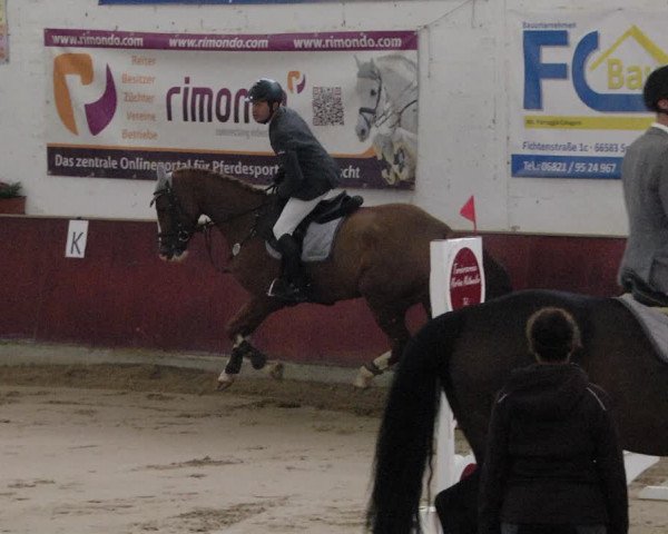 Reitturnier Neunkirchen-Furpach 2019