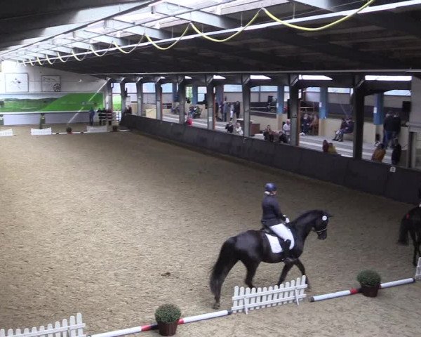 Reitturnier Legden 2019