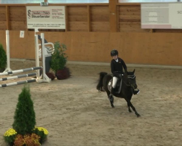 Reitturnier Xanten - Reitanlage Miss 2019