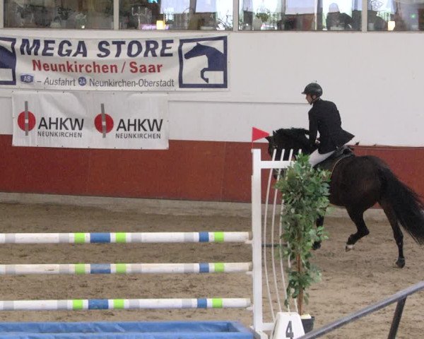 Reitturnier Neunkirchen-Furpach 2019