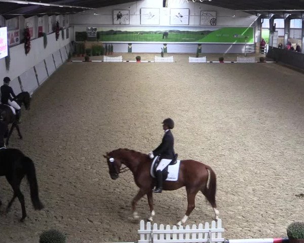 Reitturnier Legden 2019