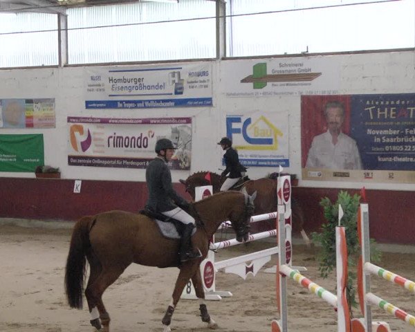 Reitturnier Neunkirchen-Furpach 2019