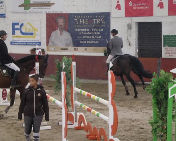 Reitturnier Neunkirchen-Furpach 2019