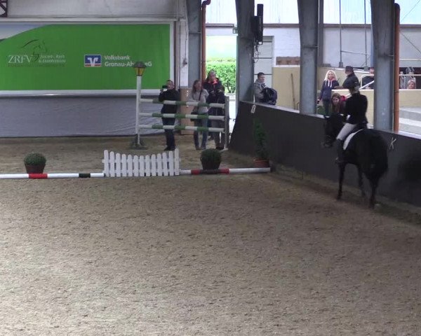 Reitturnier Legden 2019