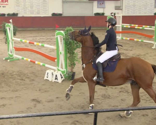 Reitturnier Neunkirchen-Furpach 2019
