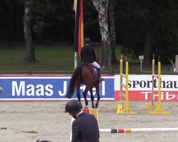 Reitturnier Westergellersen 2021