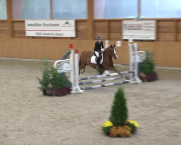 Reitturnier Xanten - Reitanlage Miss 2019
