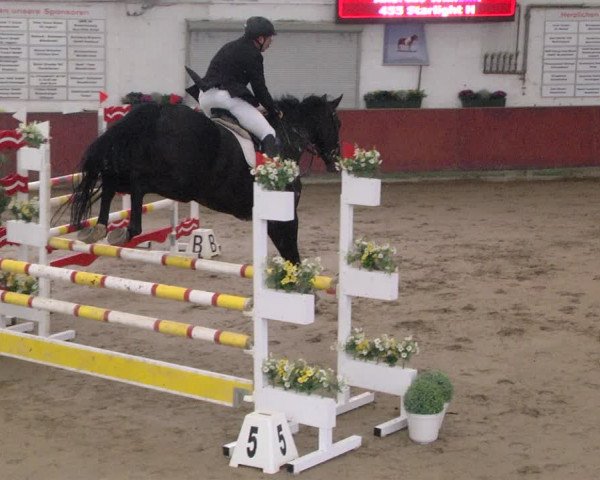 Reitturnier Neunkirchen-Furpach 2019