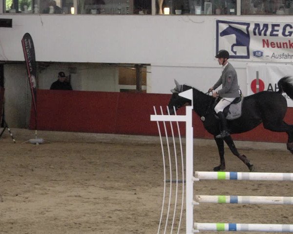 Reitturnier Neunkirchen-Furpach 2019