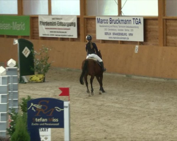 Reitturnier Xanten - Reitanlage Miss 2019