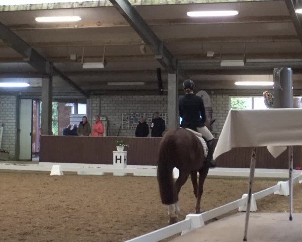 Reitturnier Kirchhellen-RSV Zur Linde 2019