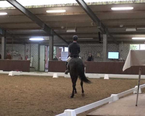 Reitturnier Kirchhellen-RSV Zur Linde 2019