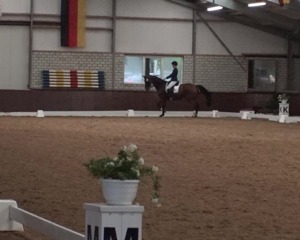 Reitturnier Kirchhellen-RSV Zur Linde 2019