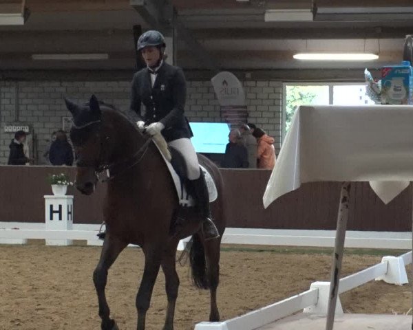 Reitturnier Kirchhellen-RSV Zur Linde 2019