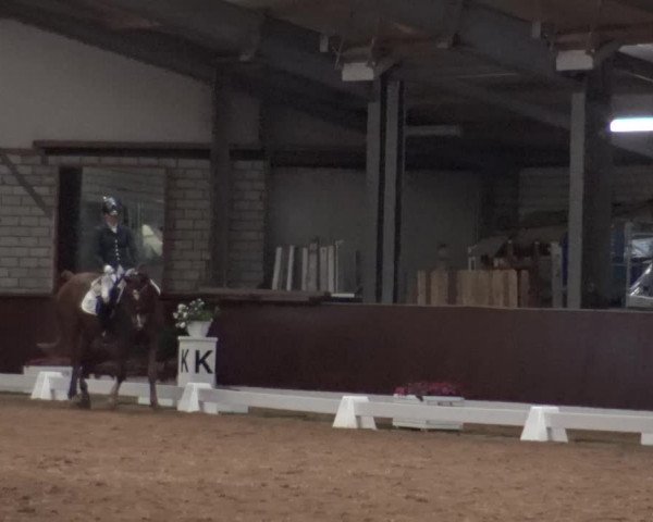 Reitturnier Kirchhellen-RSV Zur Linde 2019