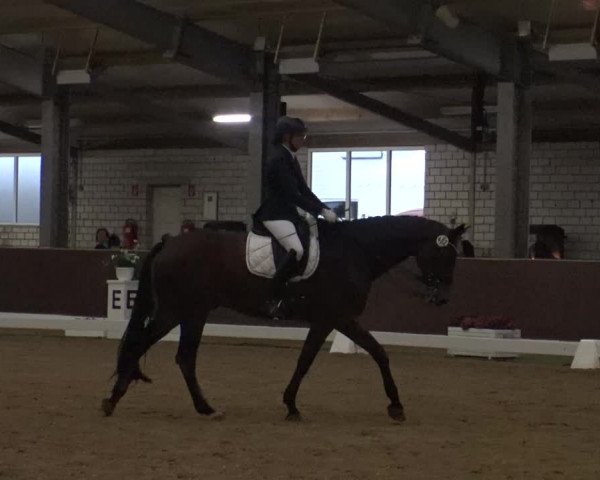 Reitturnier Kirchhellen-RSV Zur Linde 2019