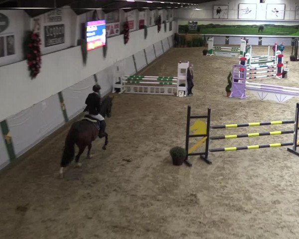 Reitturnier Legden 2019