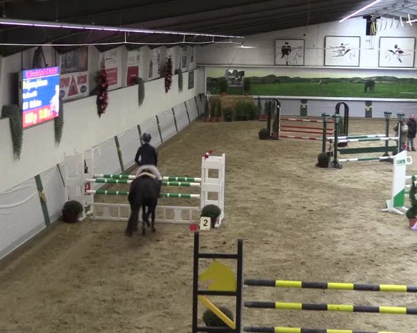 Reitturnier Legden 2019