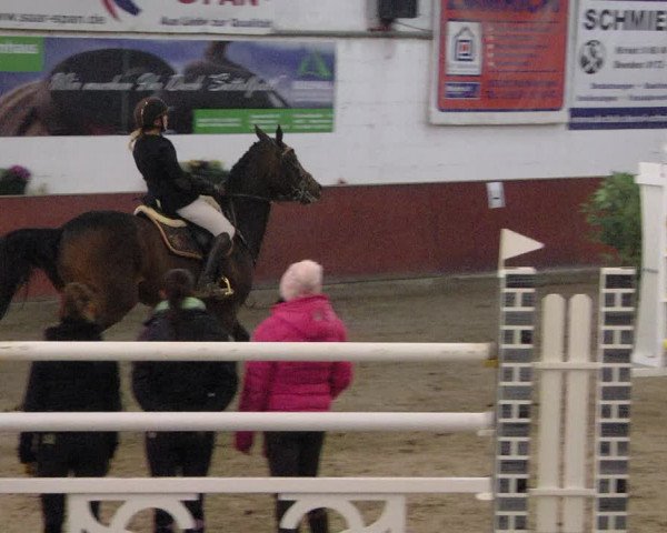 Reitturnier Neunkirchen-Furpach 2019