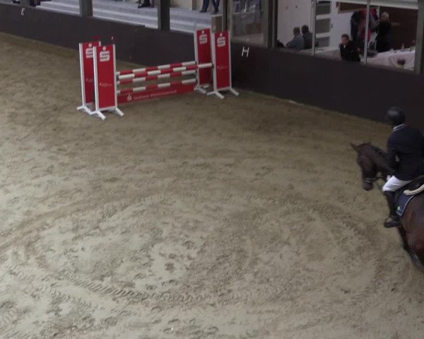 Reitturnier Legden 2019