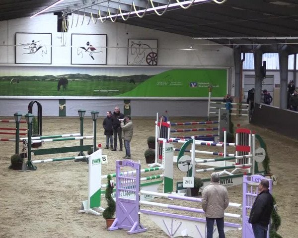 Reitturnier Legden 2019