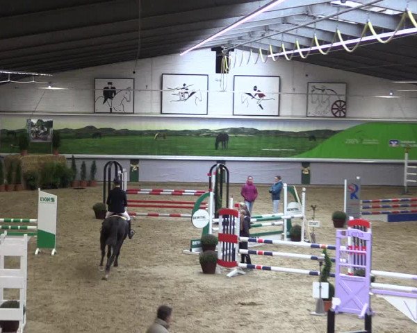 Reitturnier Legden 2019
