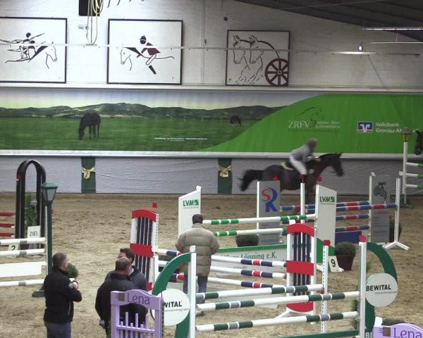 Reitturnier Legden 2019