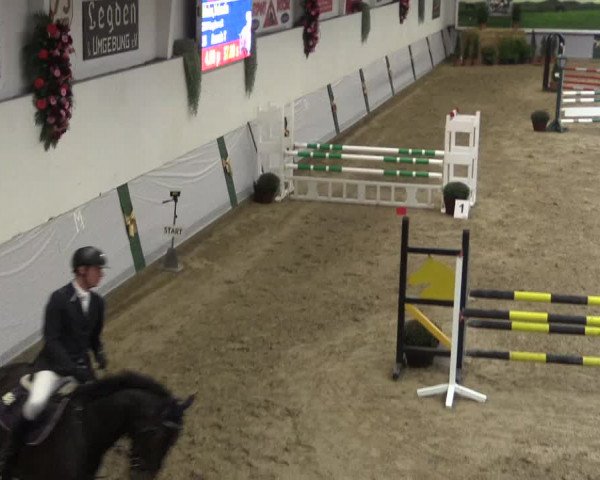 Reitturnier Legden 2019