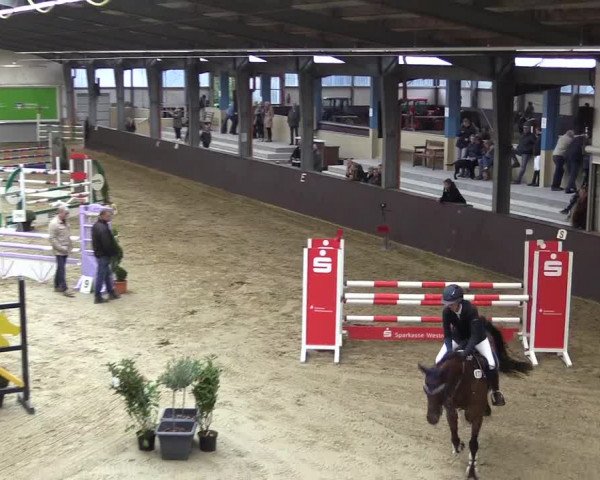 Reitturnier Legden 2019