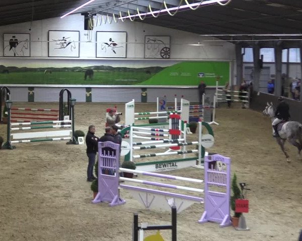 Reitturnier Legden 2019
