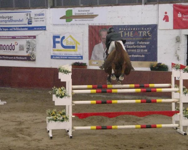 Reitturnier Neunkirchen-Furpach 2019