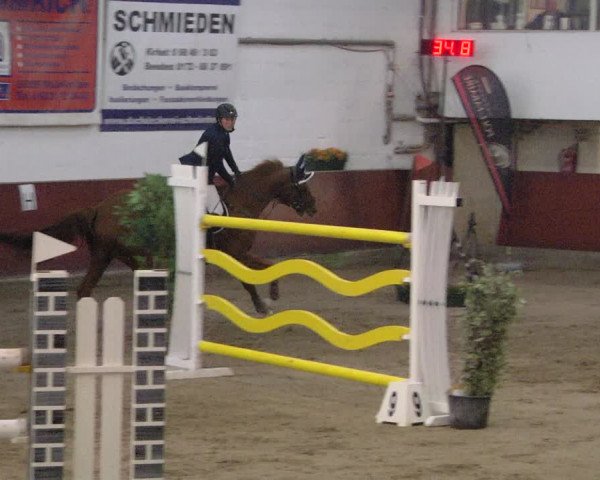 Reitturnier Neunkirchen-Furpach 2019