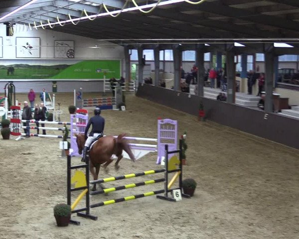 Reitturnier Legden 2019