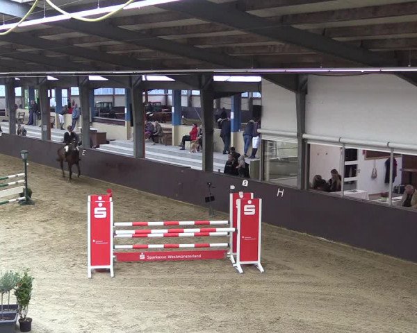 Reitturnier Legden 2019