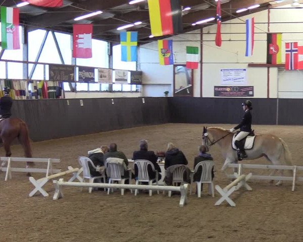 Reitturnier St. Peter Ording 2019