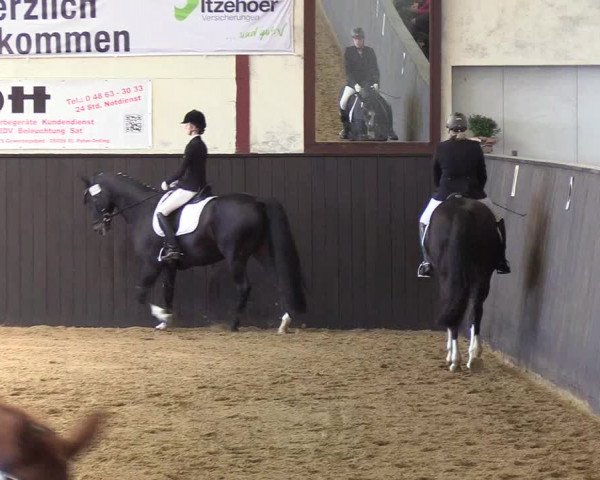 Reitturnier St. Peter Ording 2019